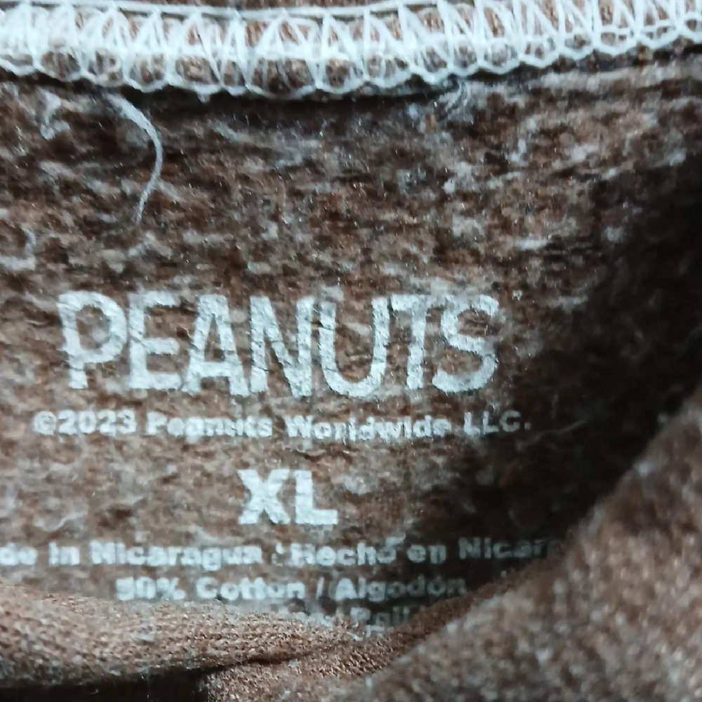 Peanuts Brown Hoodie with Woodstock Graphic - Picture 4 of 6